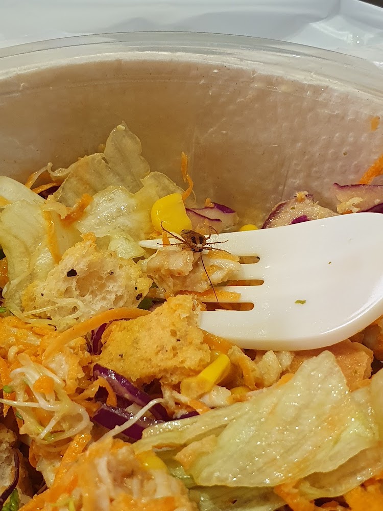 Solo Salads