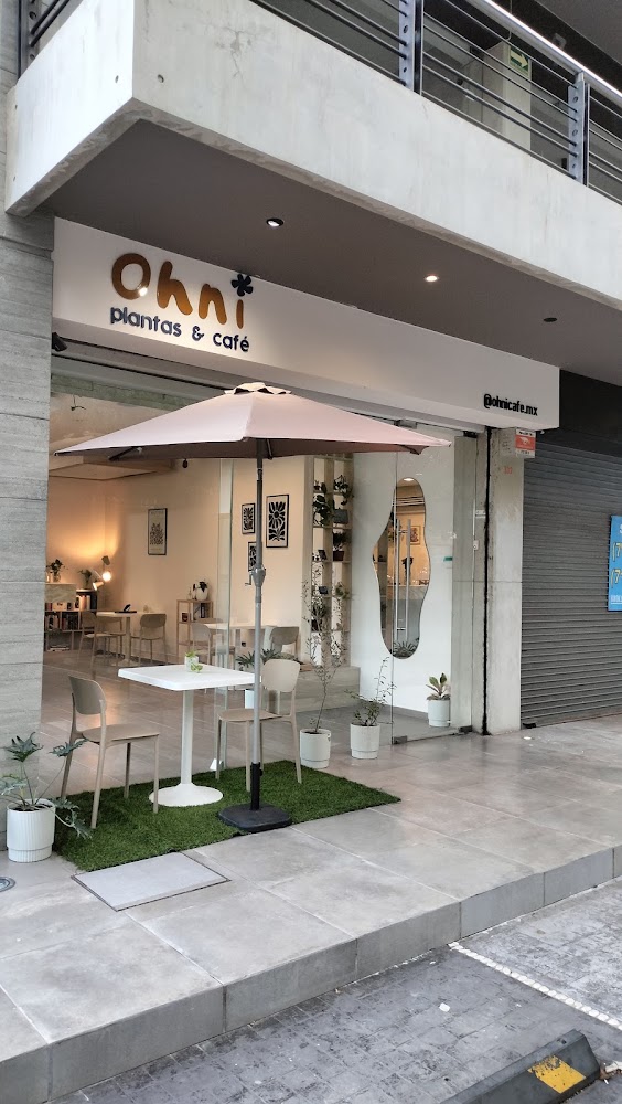 Ohni plantas y café