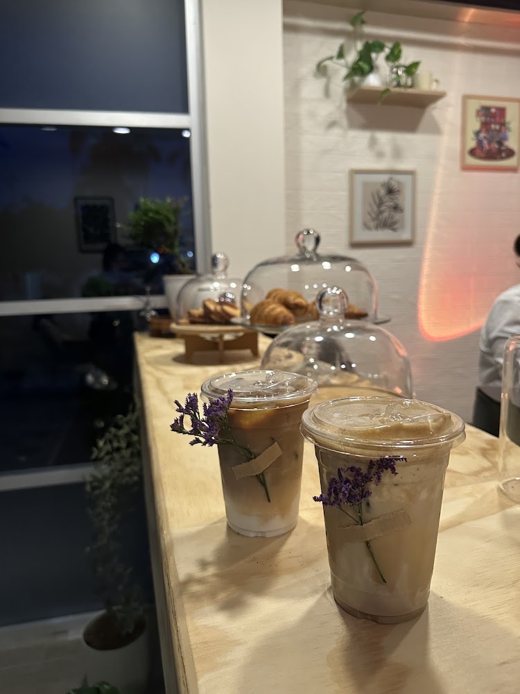 Ohni plantas y café
