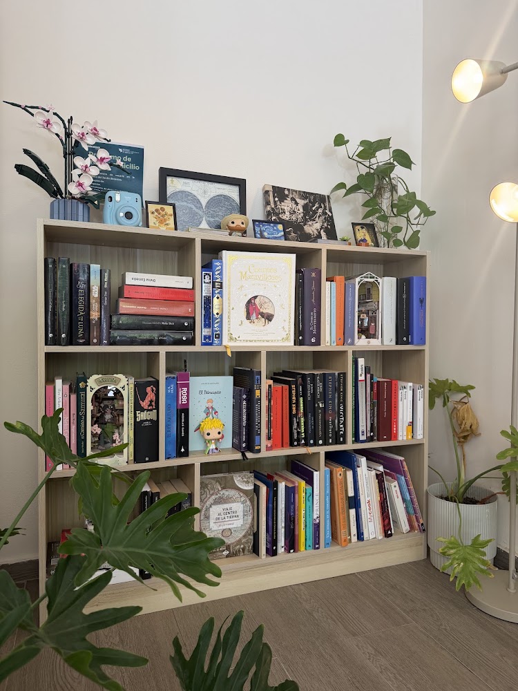 Ohni plantas y café