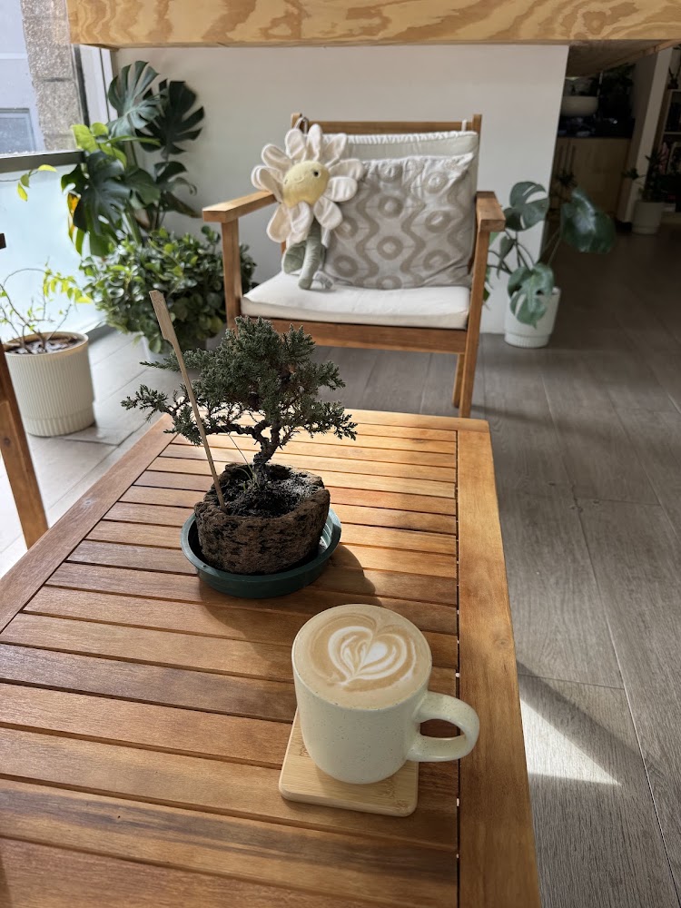 Ohni plantas y café