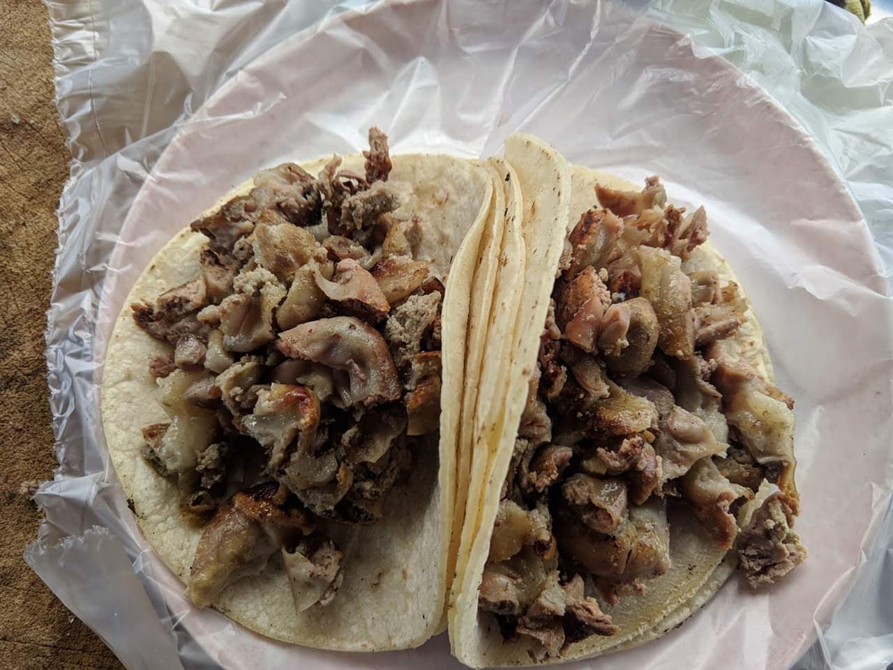 Tacos Don Luis