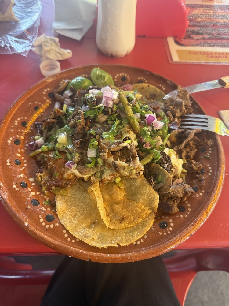 Taquería Kalitos