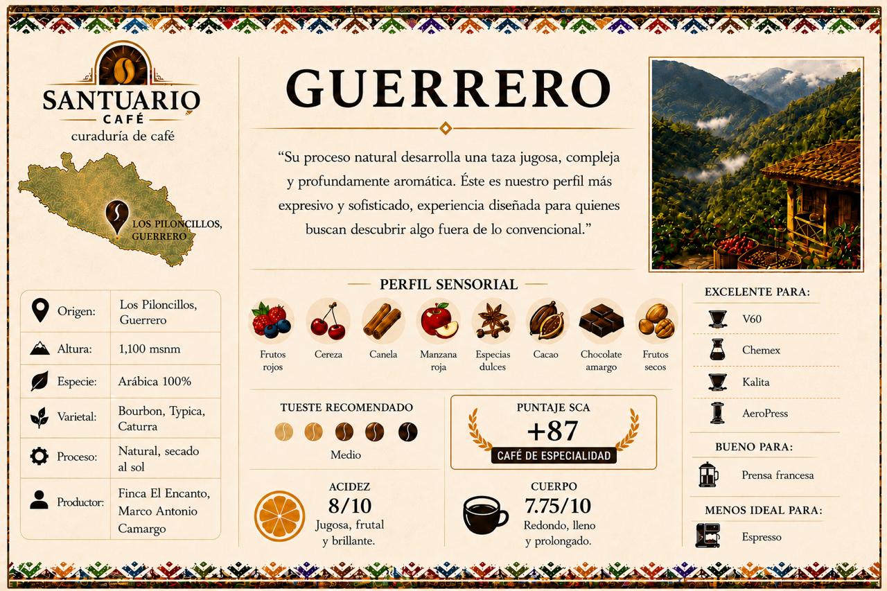Santuario Café | Curaduría de Café de Especialidad
