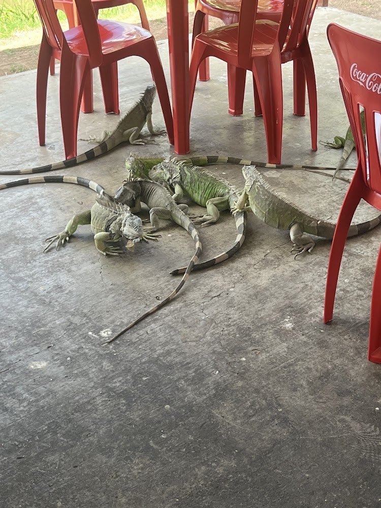 Taqueria “El Buen Amigo 2”