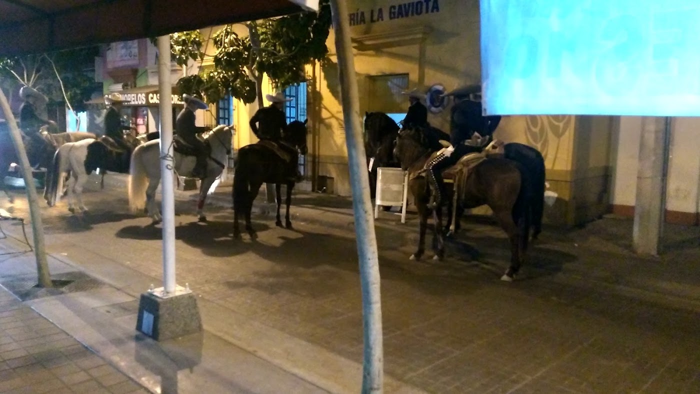 Cervecería La Gaviota