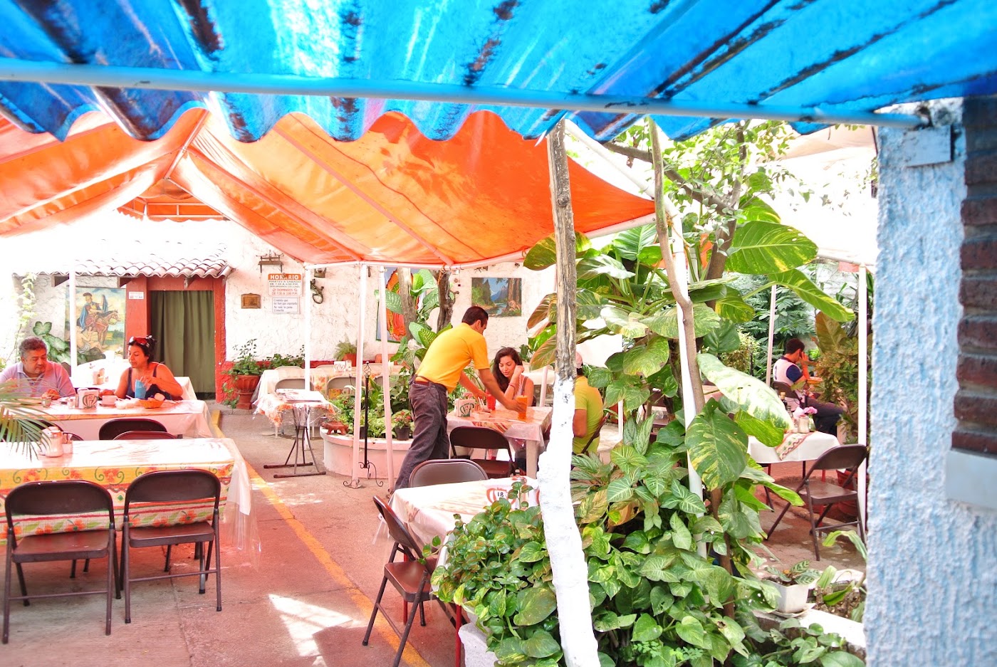 El Tropico