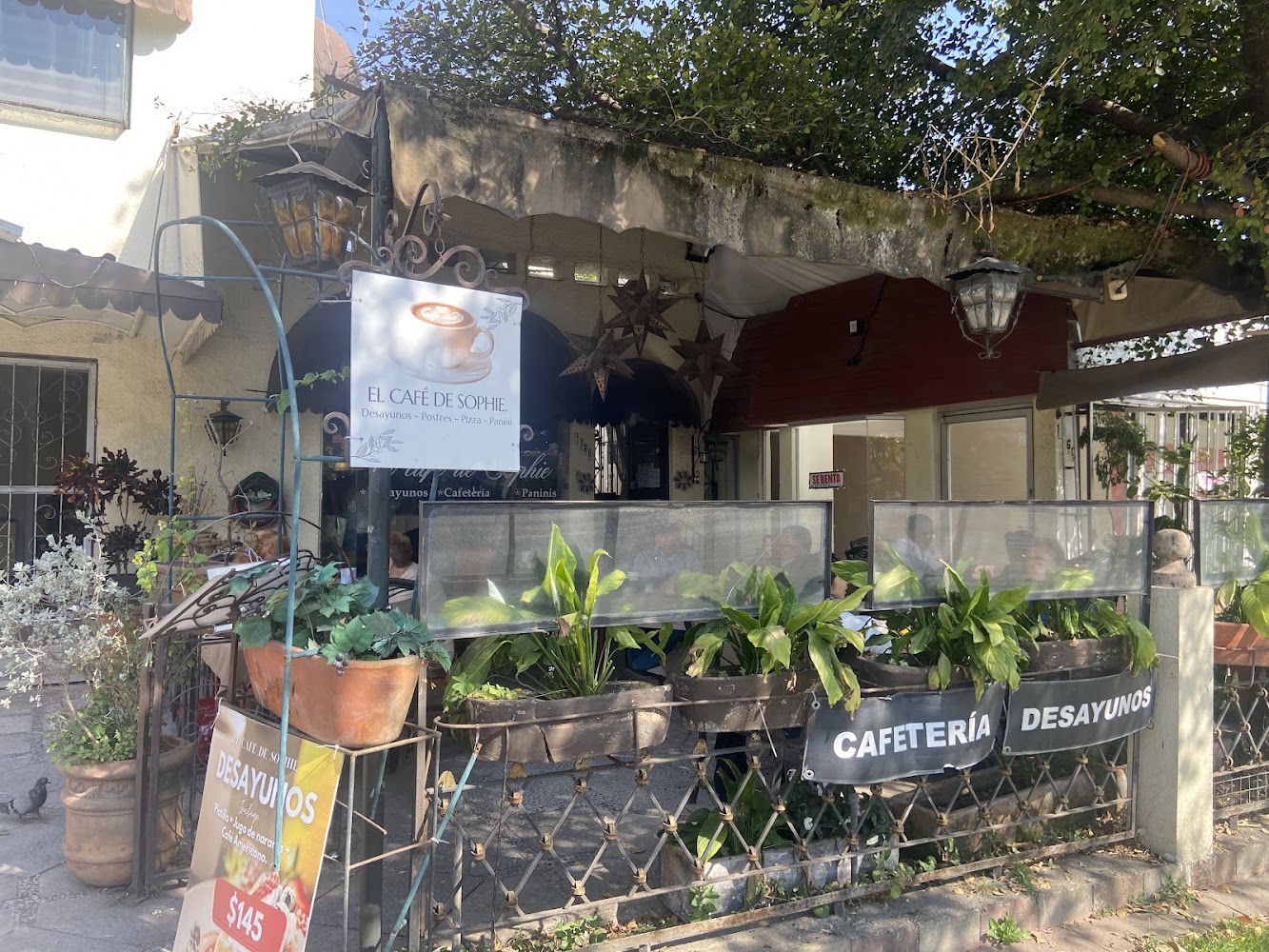 El café de sophie