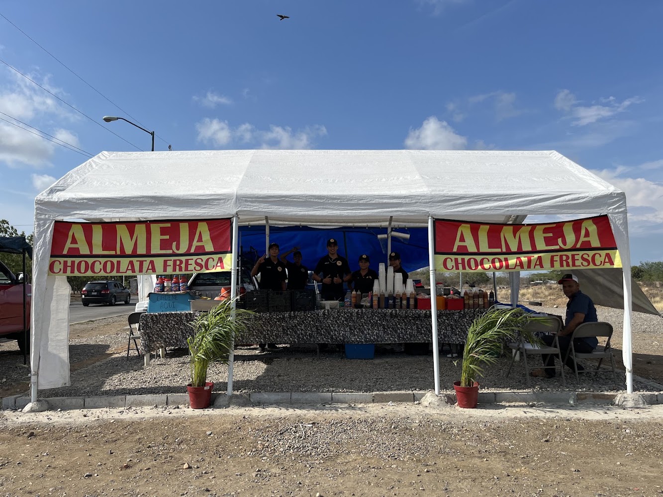 Almejas Chocolatas El Millo
