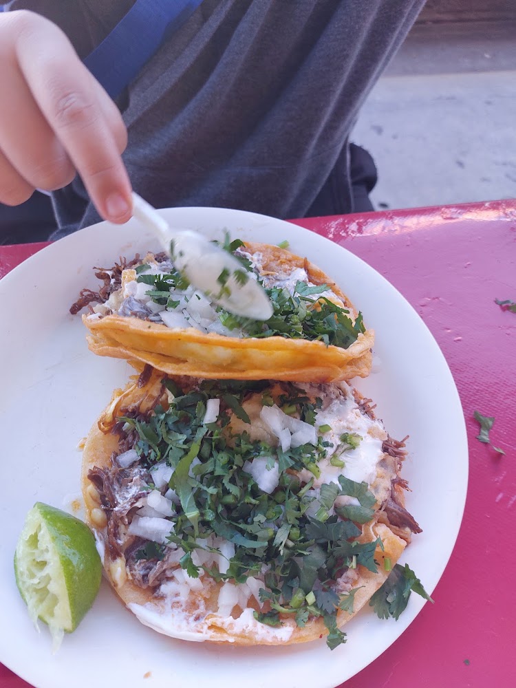 Tacos De Birria My Negra Discomovil Boston