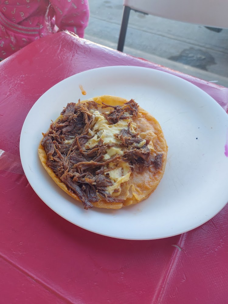 Tacos De Birria My Negra Discomovil Boston