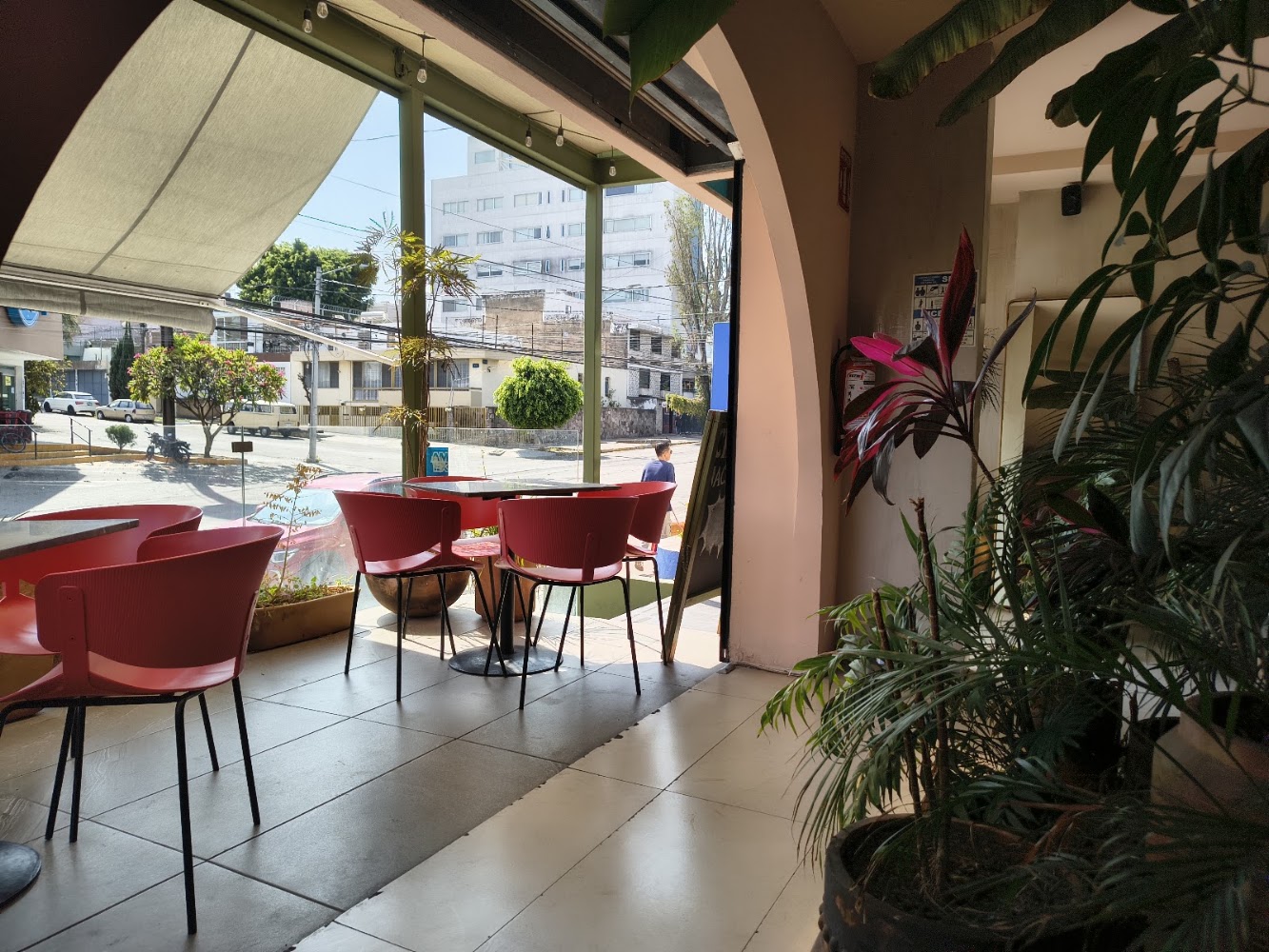 Icarus Café