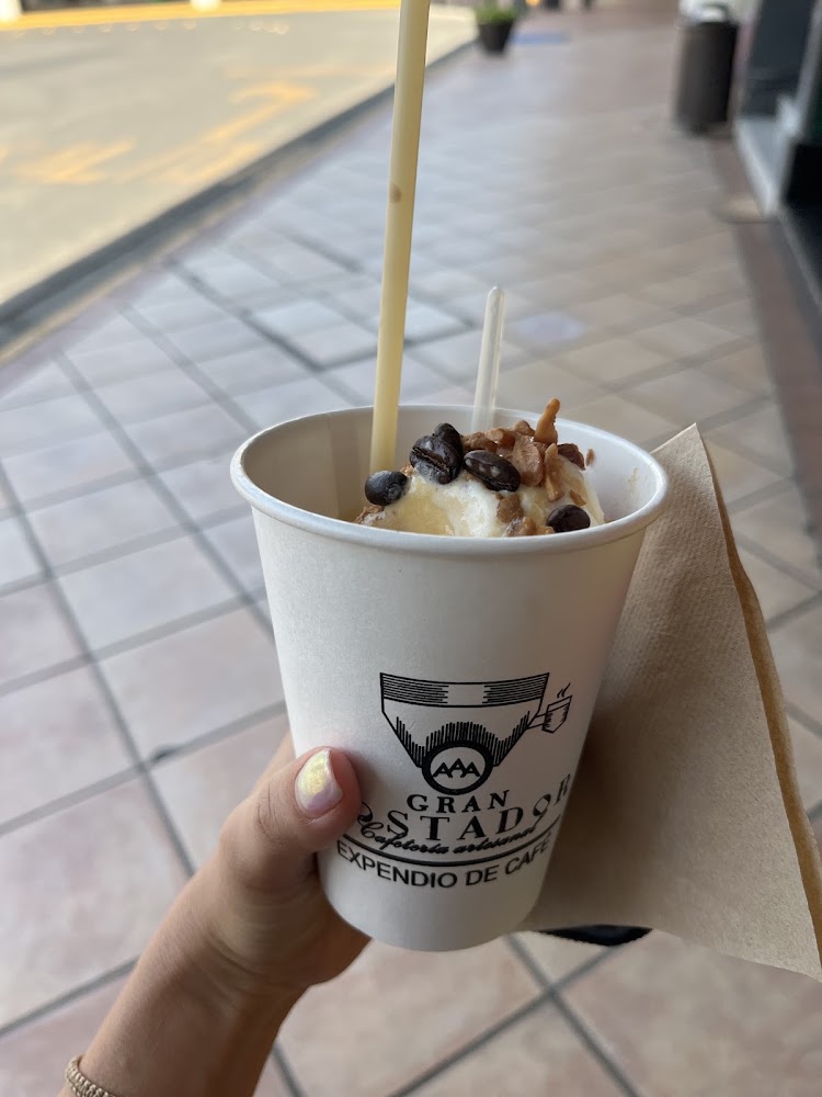 Gran Tostador Condoplaza