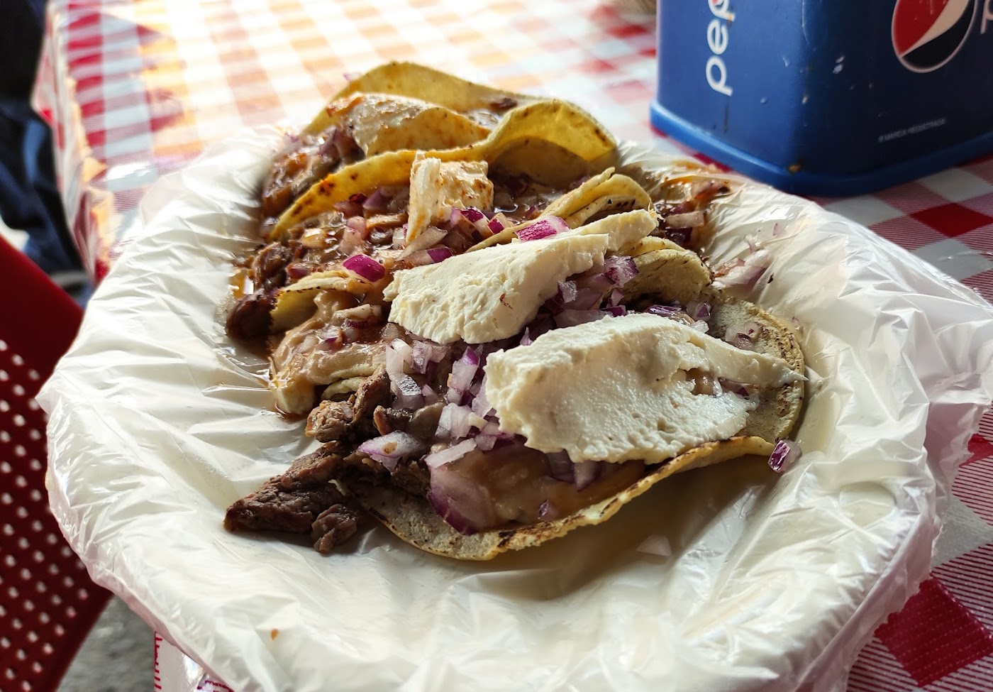 Birria y carne asada Don José