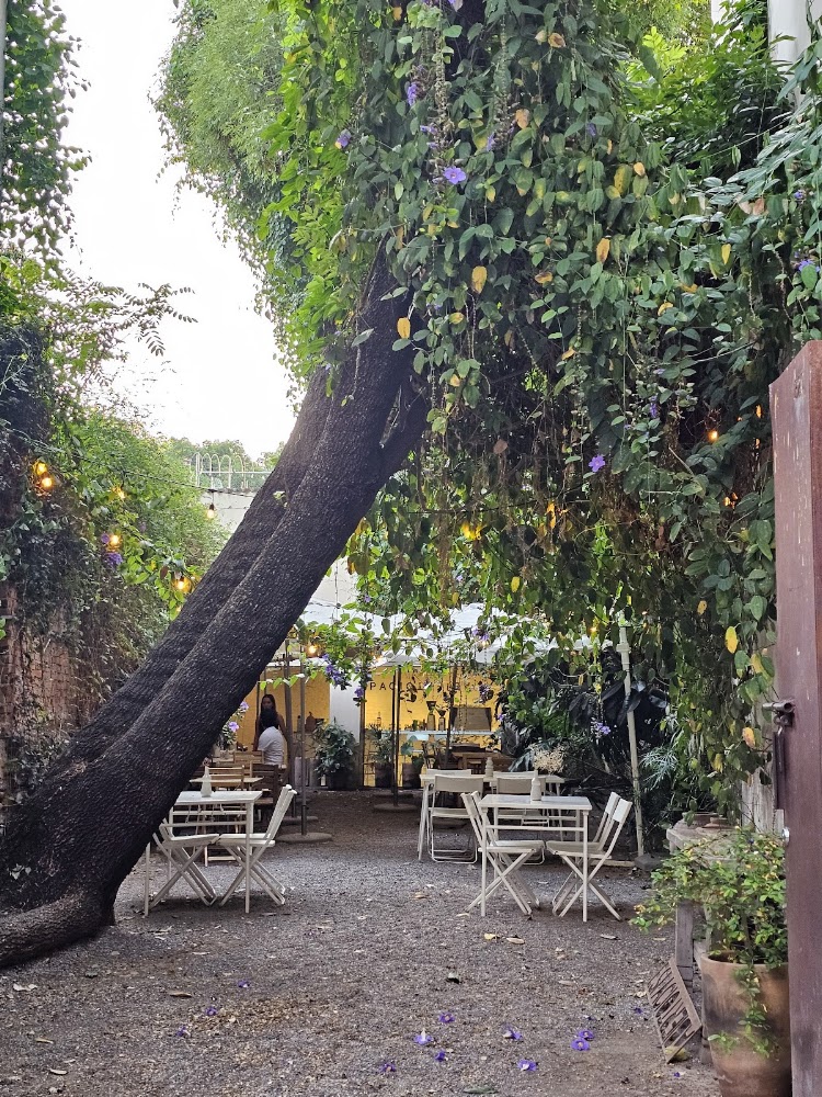 Espacio Abierto