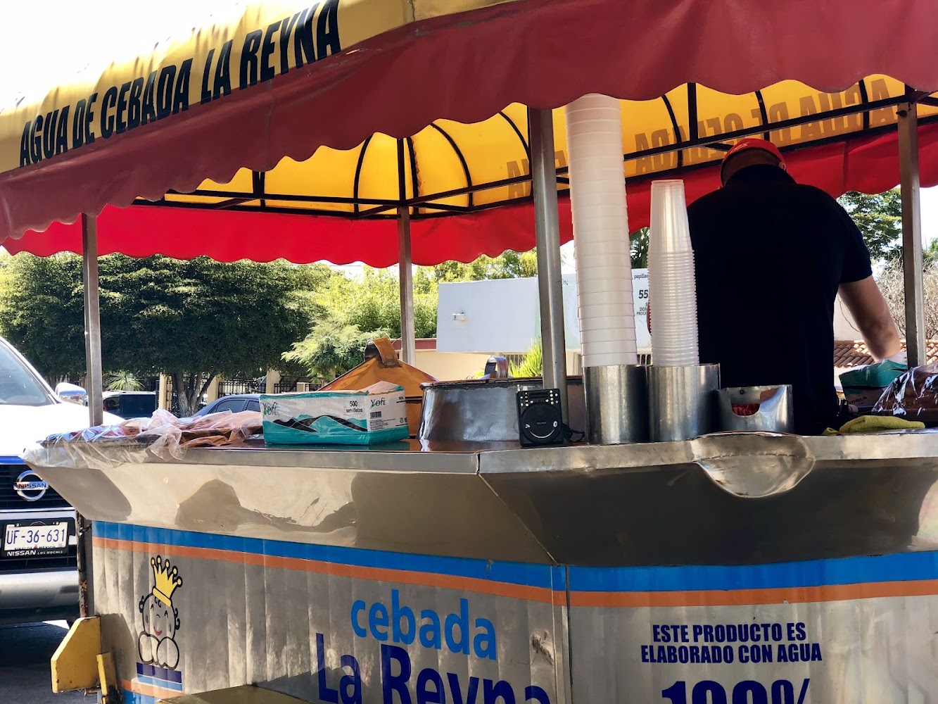 Agua De Cebaba LA REYNA