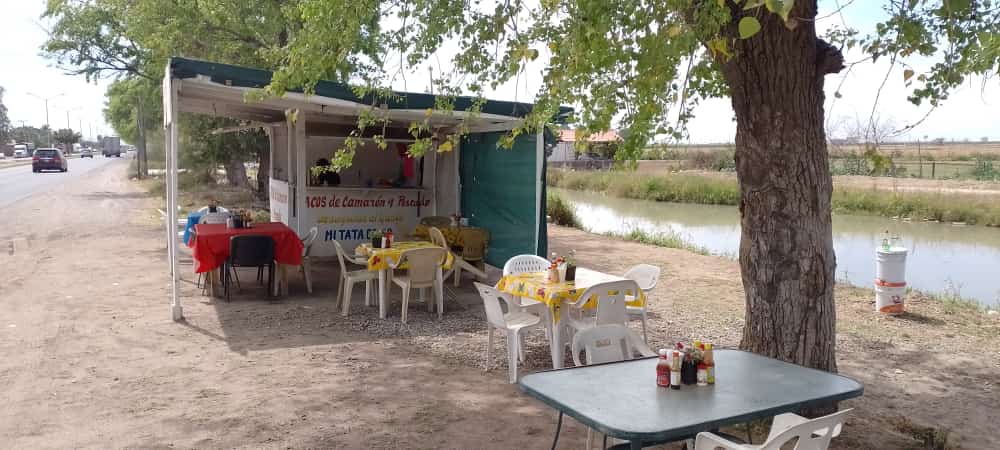El Inge Tacos Capeados