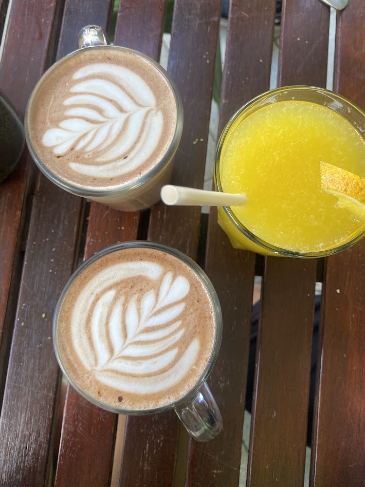 Templo Bonsái Café