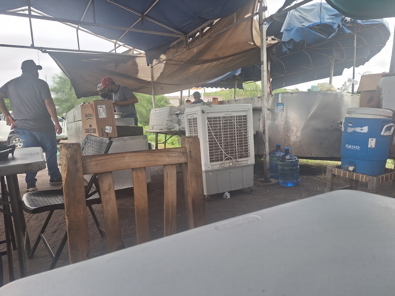 Tacos de carnitas