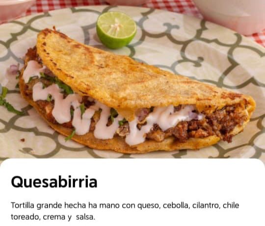 Birrieria la mejor