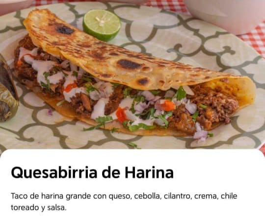 Birrieria la mejor