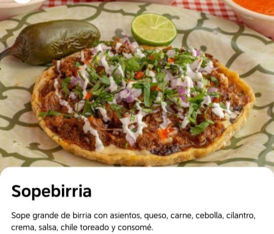 Birrieria la mejor
