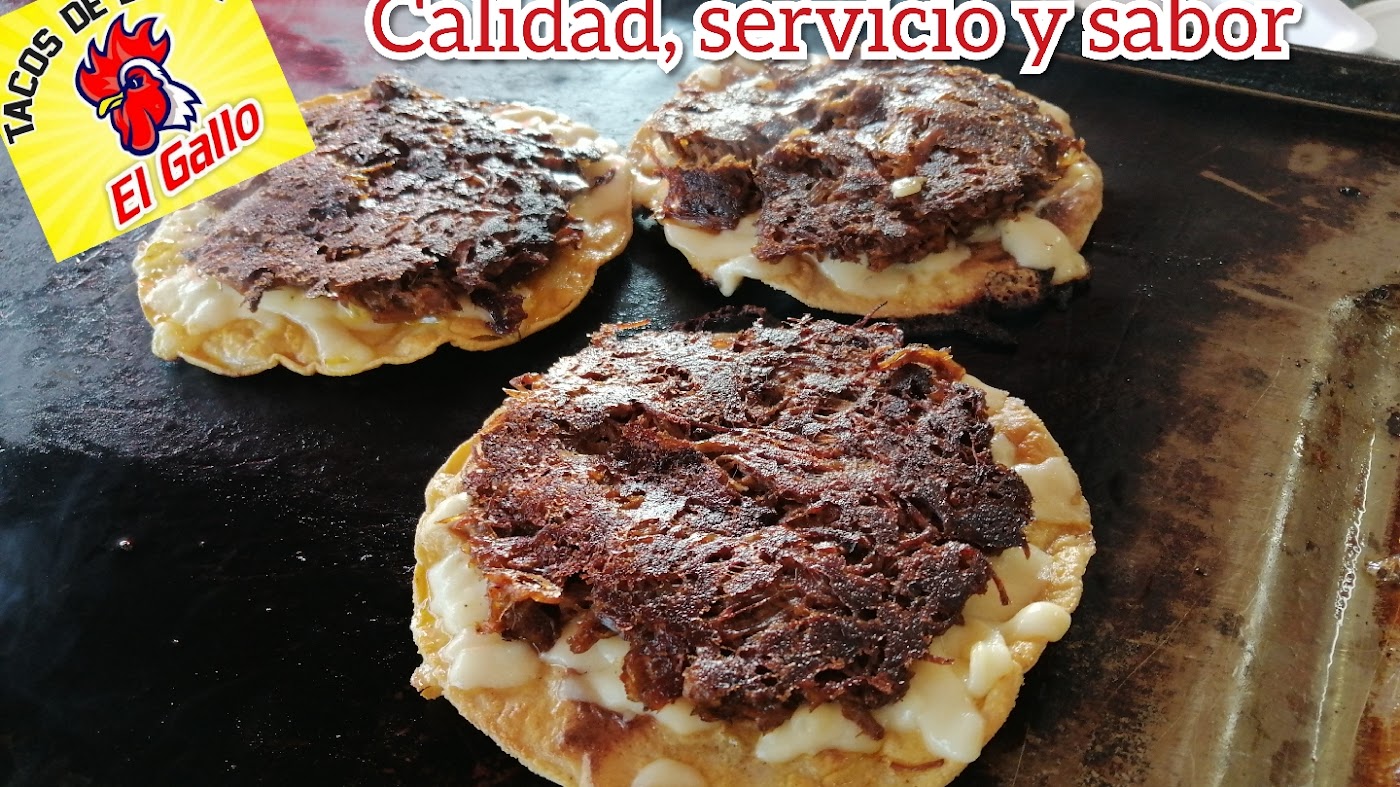 Tacos de birria El Gallo