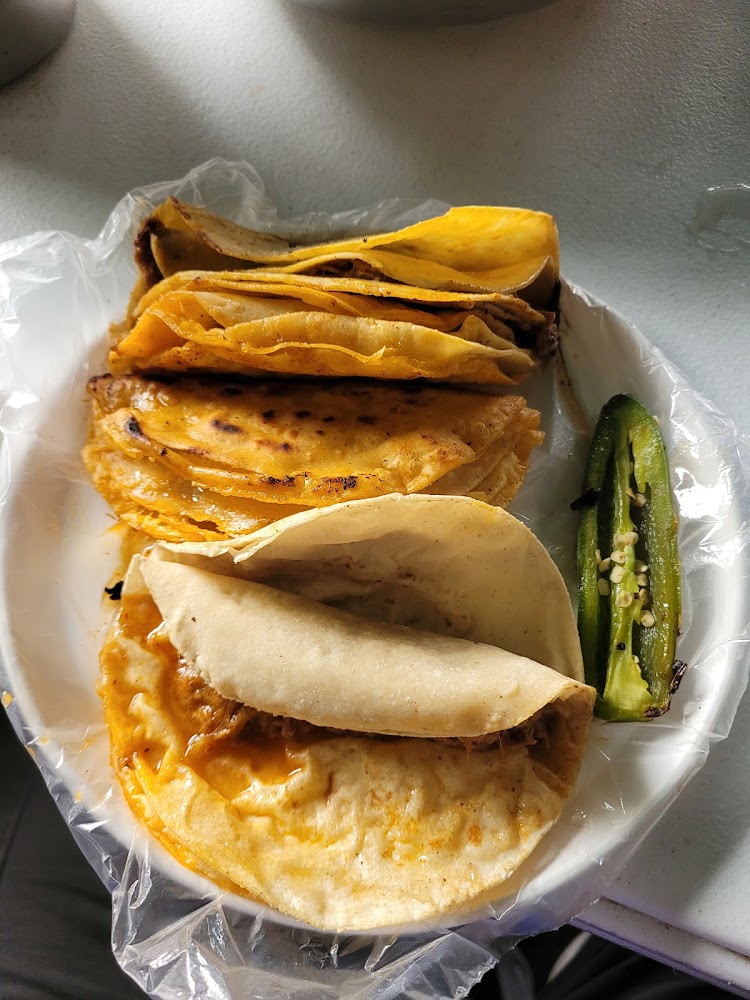 Sabrosos Tacos de Barbacoa Leo