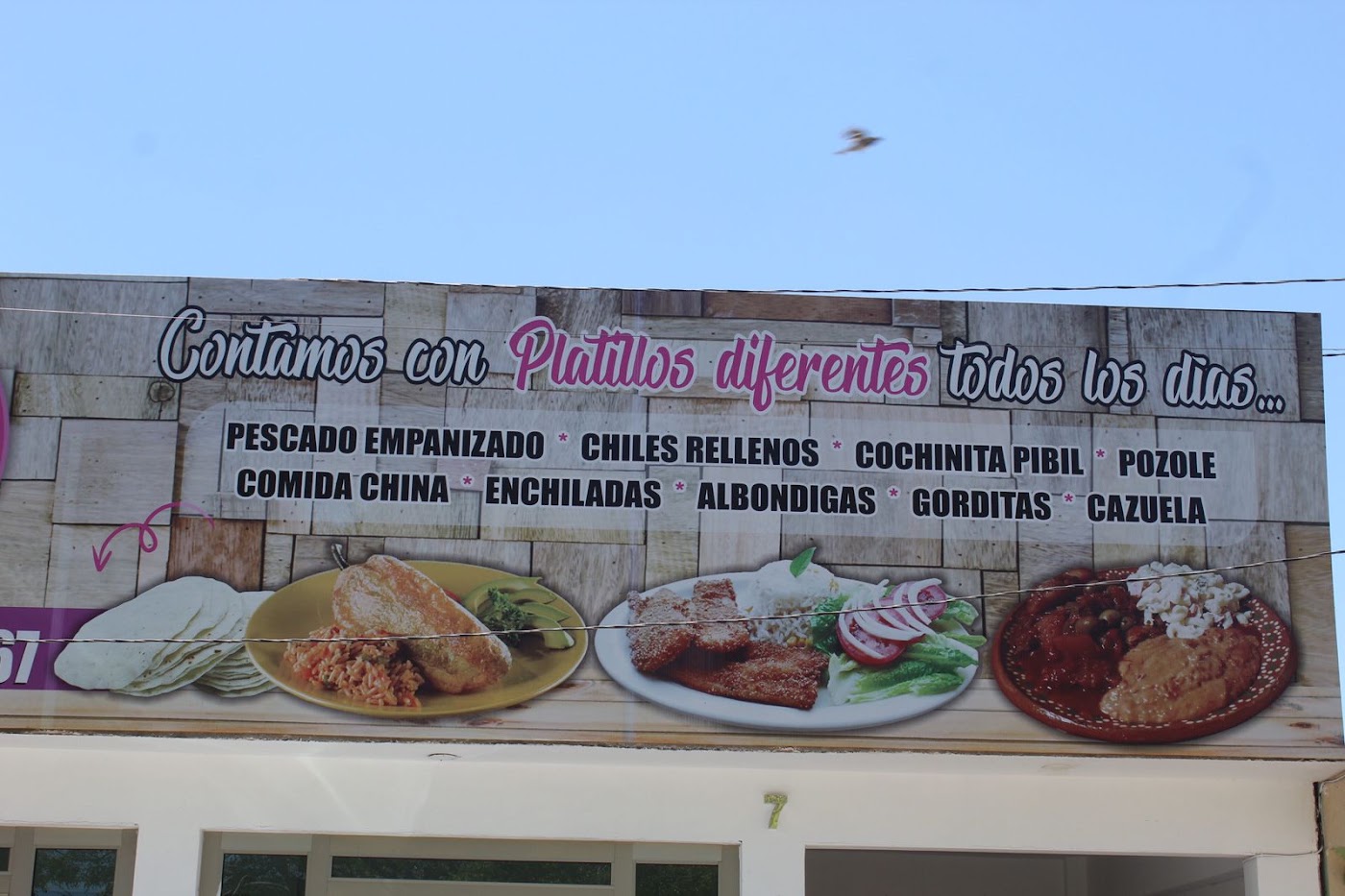 Santa Lourdes Cocina Y Lacteos