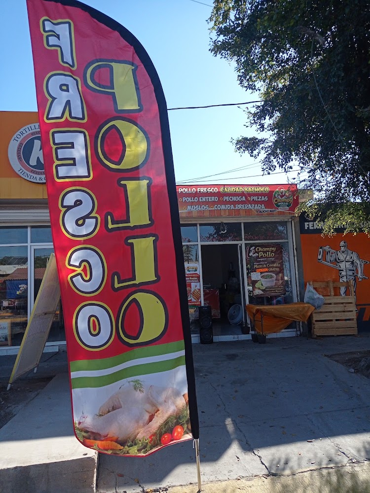 Champy pollo