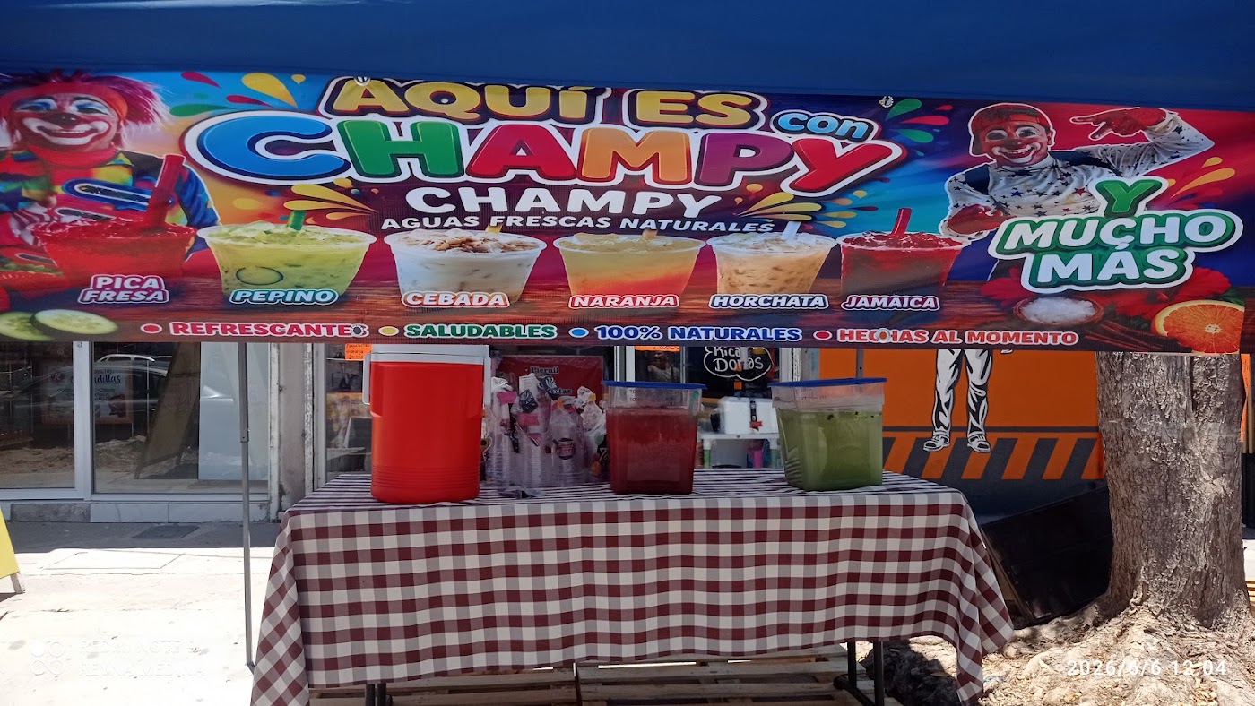 Champy pollo