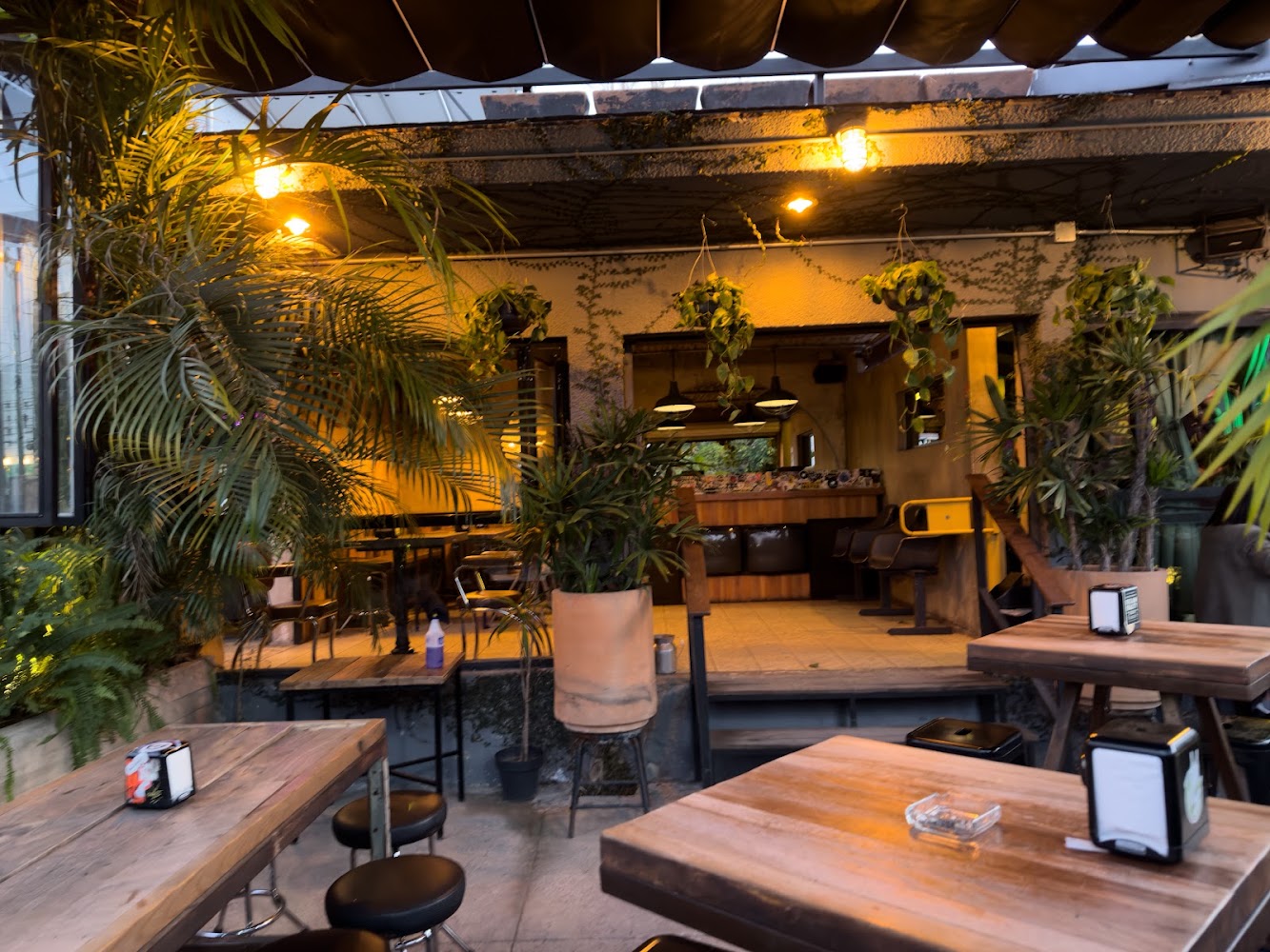 Peter Brown Bar