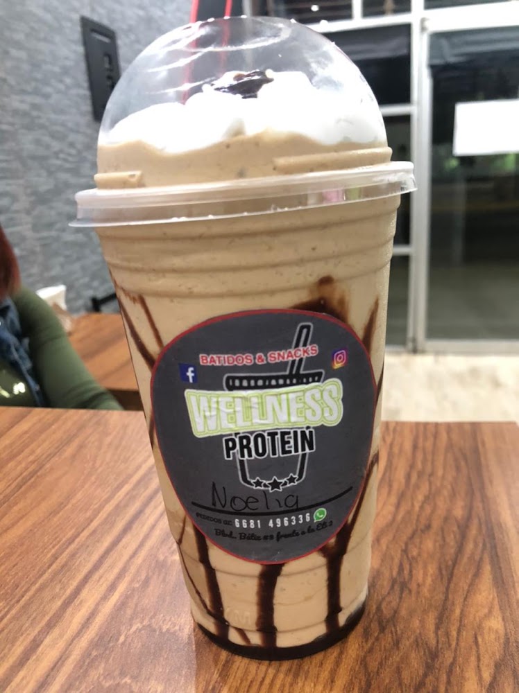 Wellness Protein