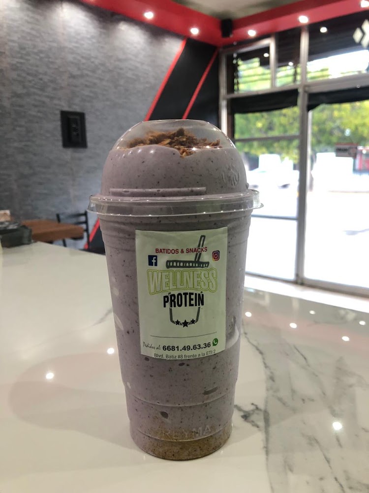 Wellness Protein