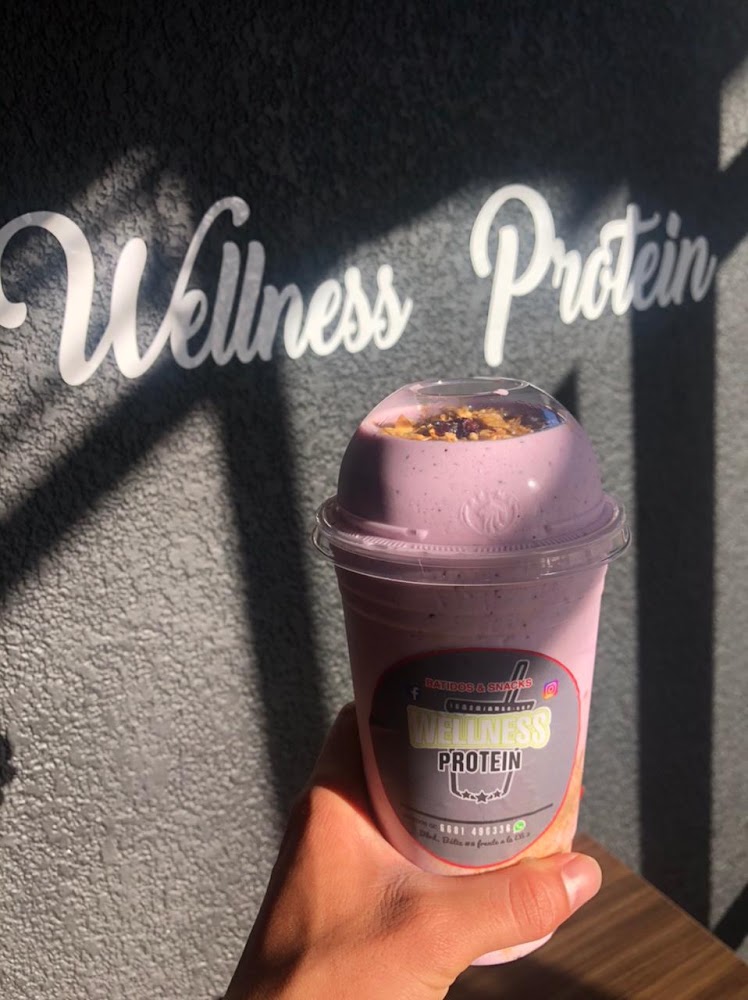Wellness Protein