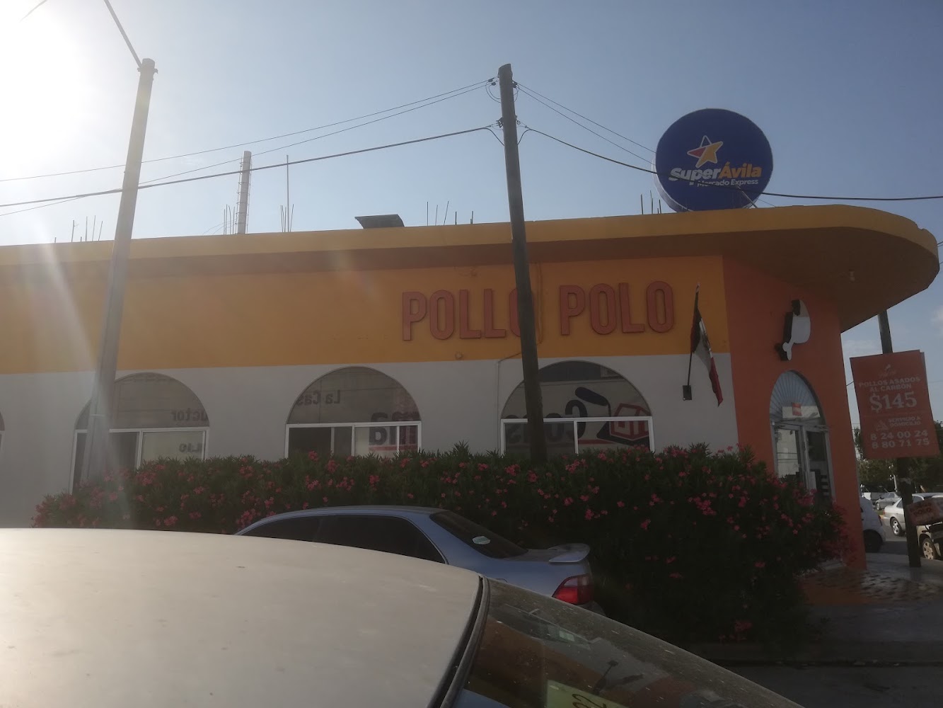 Pollo Polo