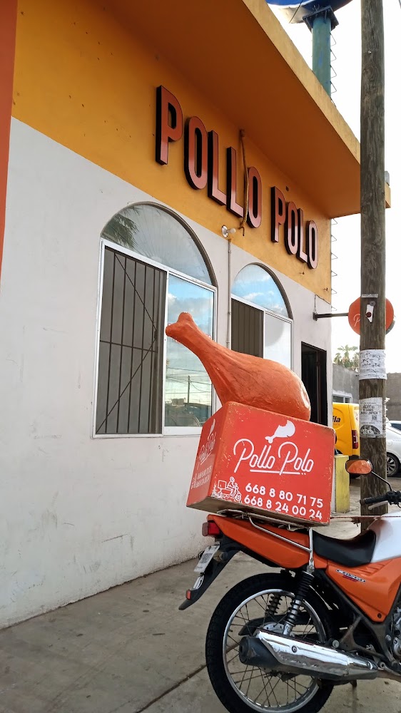 Pollo Polo