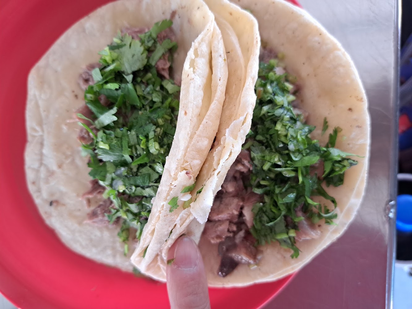 Cabeza en su jugo "Los Plebeyos"