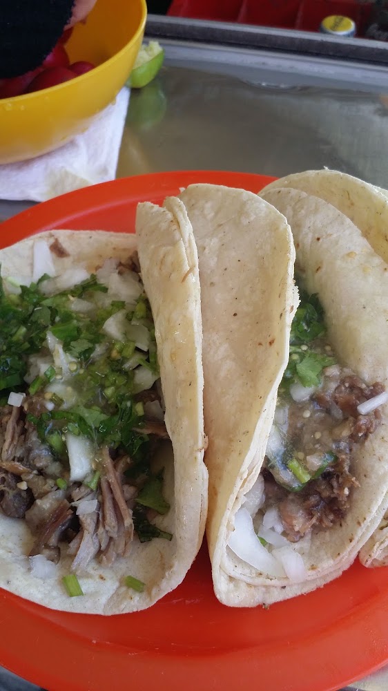 Cabeza en su jugo "Los Plebeyos"