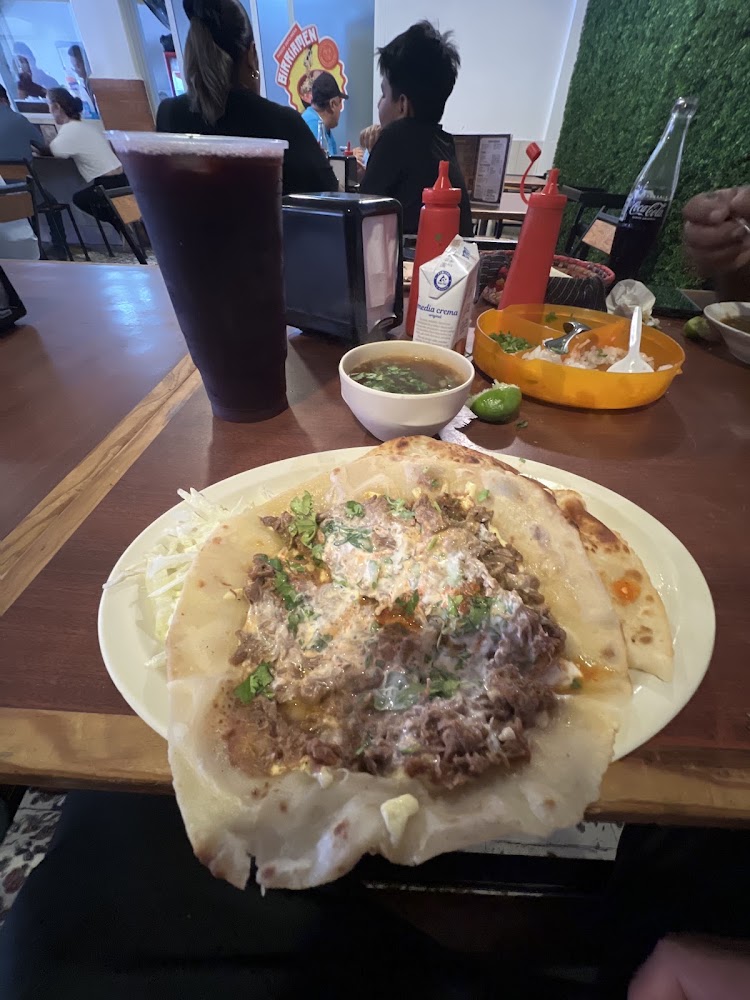El Chivo de Oro BELISARIO