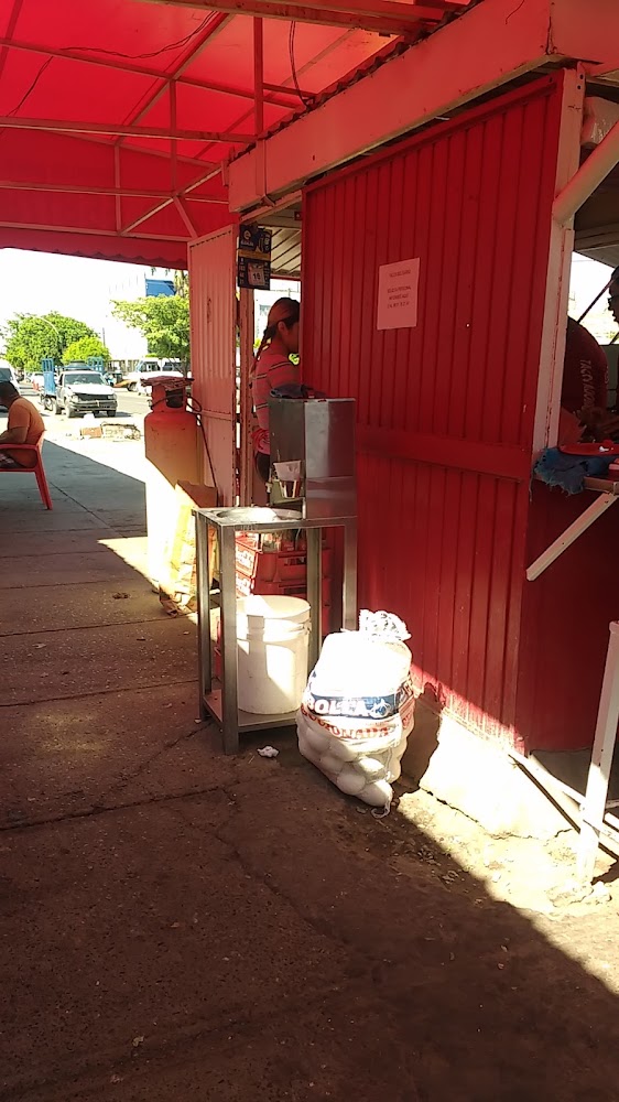 Tacos de adobada belisario