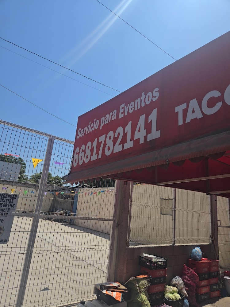 Tacos de adobada belisario