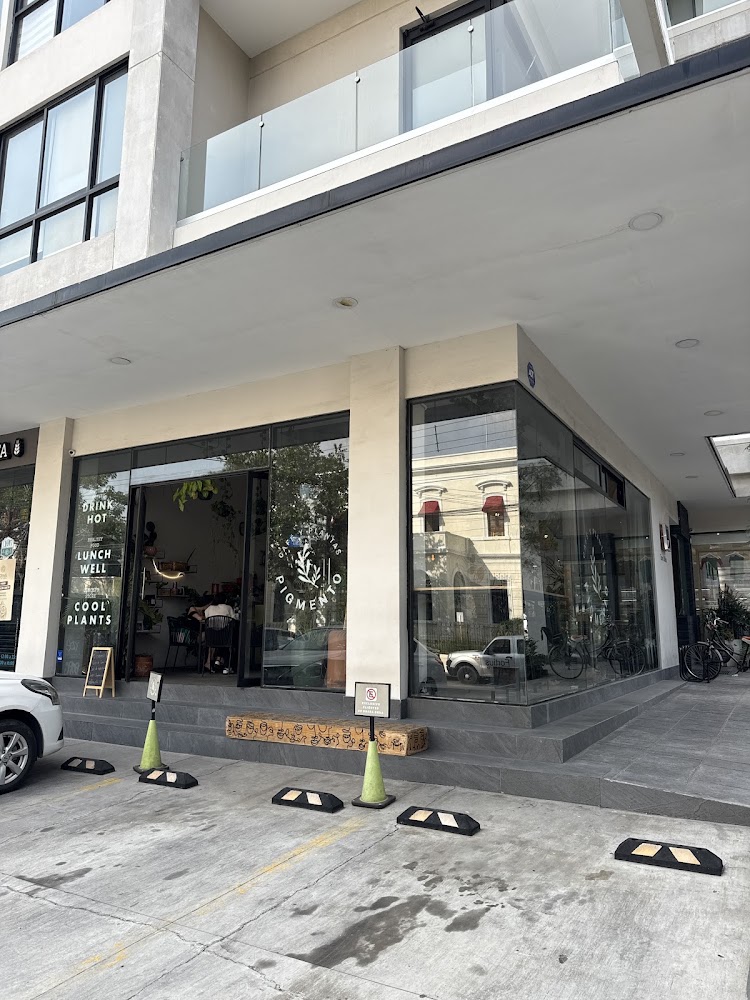 Pigmento Sabor Vivo