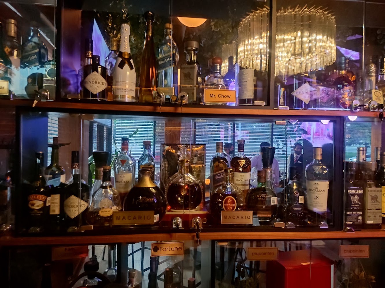 Venus Club