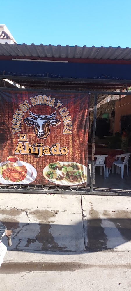 Tacos de birria."el ahijado"
