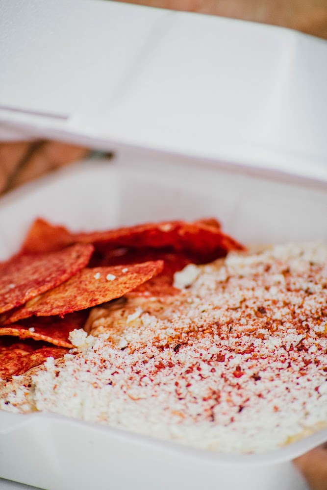 Elotes Aolanis
