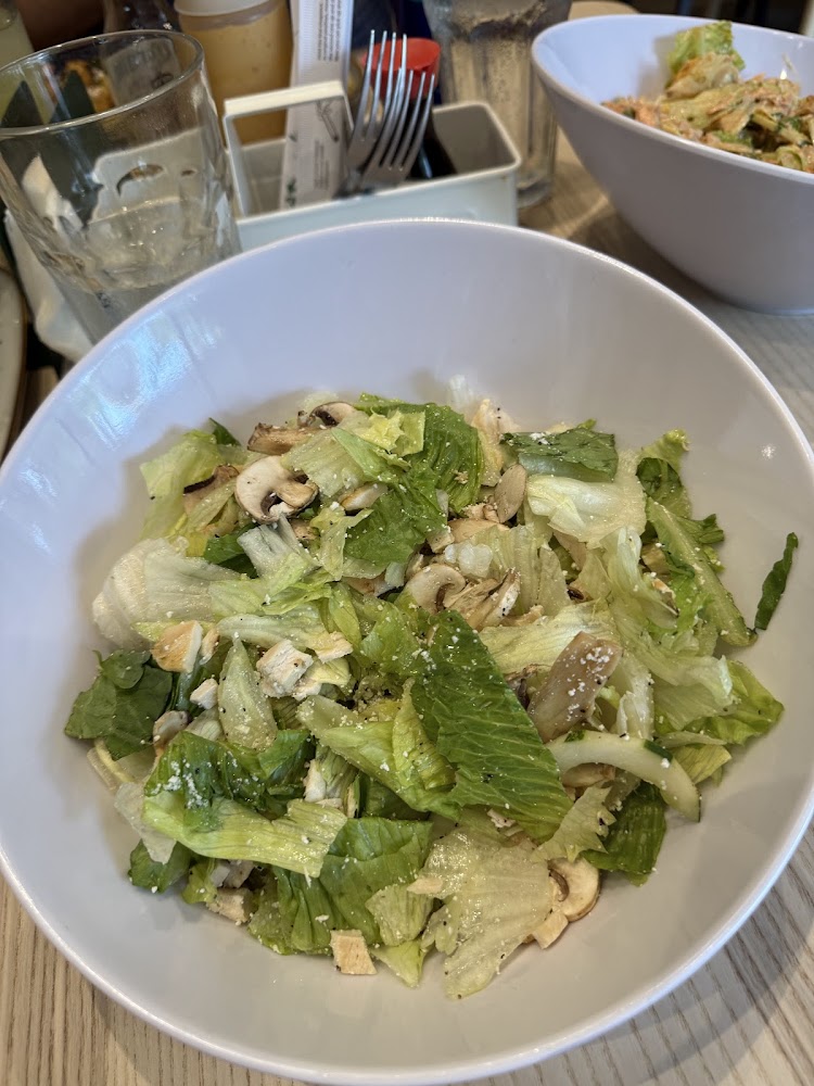 Sushi & Salads, Co.