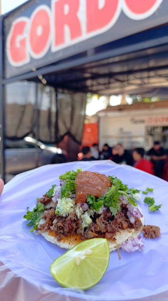 Tacos El GORDO