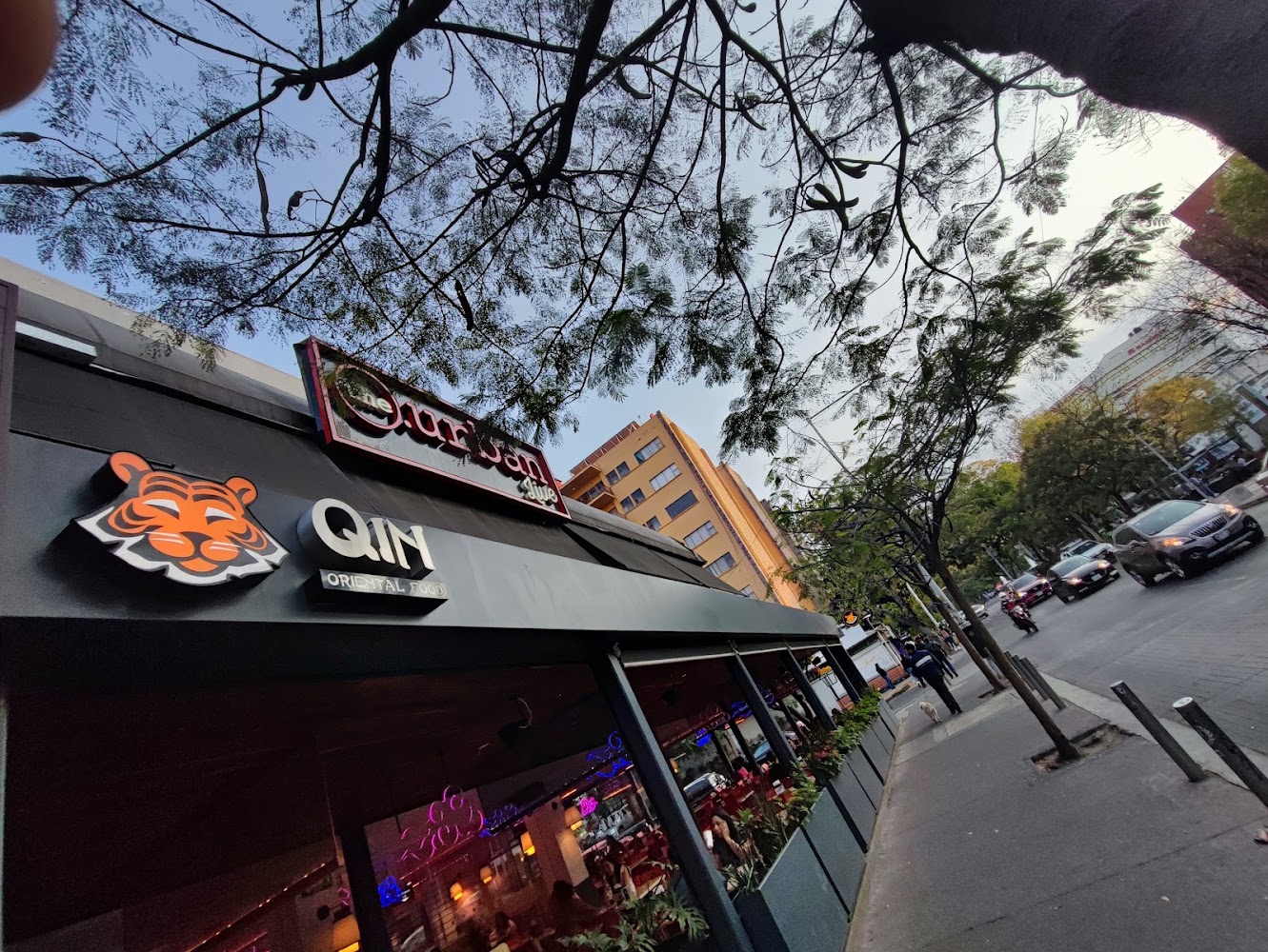 Qin Oriental Food Chapultepec