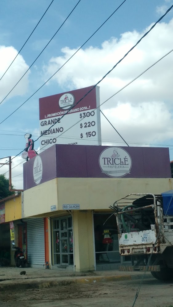 Triché